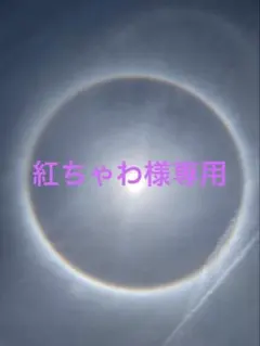 引きこもり姫と毒舌騎士様 1〜6巻 完結