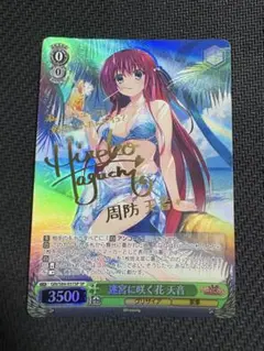2026年最新】迷宮に咲く花 蒔菜 spの人気アイテム - メルカリ