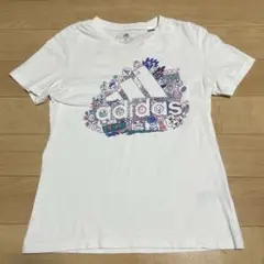レディース　Tシャツ