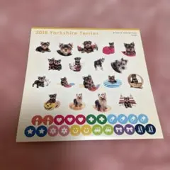 ヨークシャーテリア　シール　犬