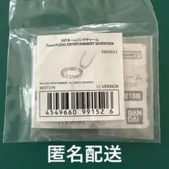 SEVENTEEN セブチ バーノン グッズ 300点セット まとめ売り 2025年最新】バーノンの人気アイテム - メルカリ