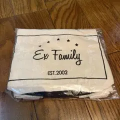 EXILE 継続特典 非売品 トートバッグ 2002のサムネイル