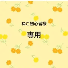 ねこ初心者様　専用出品