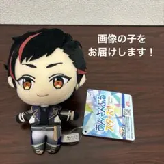 南雲鉄虎 あんさんぶるスターズ！ ぬいぐるみ 新衣装 匿名配送 あん