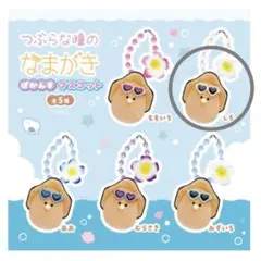 つぶらな瞳のなまがき　ばかんすマスコット　しろのサムネイル