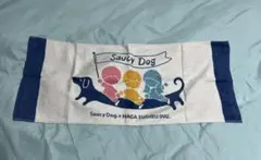 2026年最新】サウシー タオルの人気アイテム - メルカリ