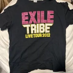 EXILE TRIBE TOWER OF WISH Tシャツ 2012