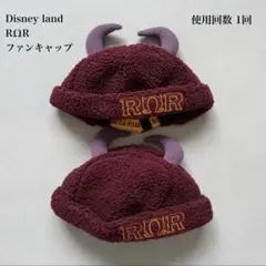 ディズニー　ファンキャップ　2個セット 使用回数1度