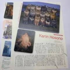 季刊エス 7月号 2025 雑誌 切り抜き Karin Hosono