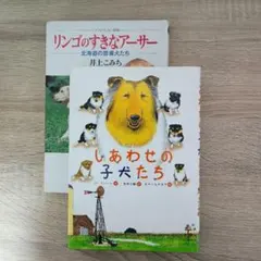 Item thumbnail for item bd37b53a-b1d4-4cf9-ba35-6b174e06aac6