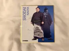 Item thumbnail for item efbc9037-8ebb-451c-9368-3823c087e16e