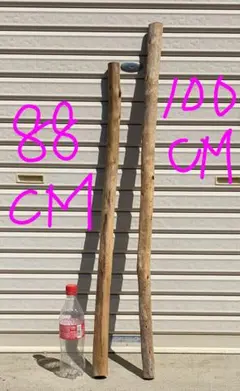 Item thumbnail for item b5ff6126-bbc8-4ecf-a8dd-b1b9b05f632b