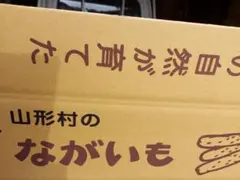 山形村のながいも10キロと、大和芋