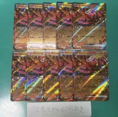 オドリドリex １０枚