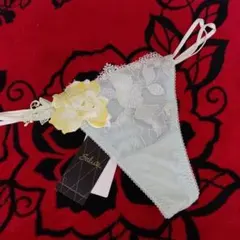 サルート 56group ソング M