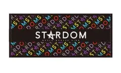 新品未使用 公式サイト 定価3,000円で販売中 サイズ 約33×80cm
