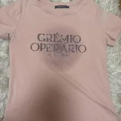 SHAGGIE 半袖Tシャツ ピンク ラインストーンロゴ