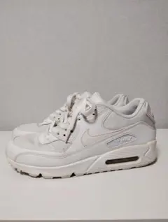 NIKE AIR MAX 90のサムネイル
