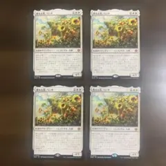 MTG　跳ねる春、ベーザ　プロモ日本語版4枚セット　　pws 跳ねる春、ベーザ（プロモ） 4枚セット - メルカリ