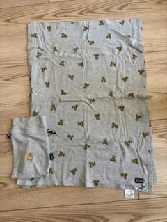 Item thumbnail for item 486c3e43-cdcd-44eb-9bf9-de351d48ba3e