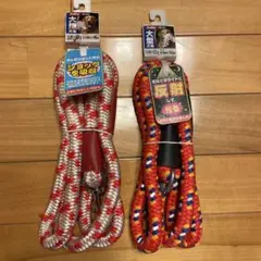 Item thumbnail for item e39619e6-9b0e-42f0-85d0-fb8e48e907c7