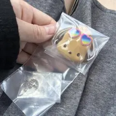サンリオキャラクターズ　おめんコレクション　こんがりビーチバージョン　ポチャッコ