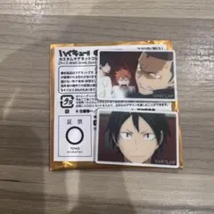 ハイキュー　田中龍之介　山口忠　日向翔陽　影山飛雄　カスタムマグネット