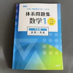 koko75様 リクエスト 2点 まとめ商品