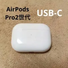 Apple AirPods Pro 第2世代 USB-C 充電ケースのみ 17