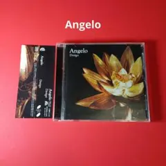 angelo CD design pierrot v系
