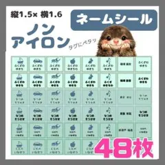 [그린] 네임스티커 48장, 네임택, 논아이언, 유아원, 유치원, 초등학생