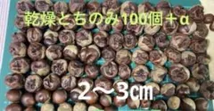 乾燥とちのみ 80個＋α