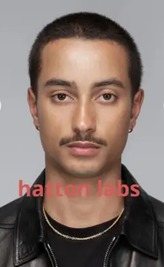 hatton labs EDGE HOOP EARRINGS / GOLD