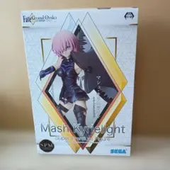 Fate/Grand Order Mash Kyrielight フィギュア