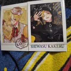 ツキウタ 紙類　ぱしゃこれ　コースター　カード　まとめ売り ツキウタ。 ツキウタ コースター ポストカード イラストカード