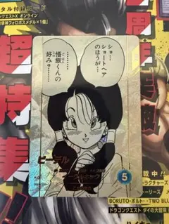 ビーデル　パラレル　APT-024　アドバンスパック　スーパーダイバーズ40th