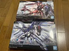 HG ライジングフリーダムガンダム＆イモータルジャスティスガンダム ２体セット
