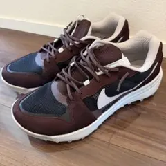 美品★Nike ACG Mountain Fly 2 Low★28.5cmのサムネイル