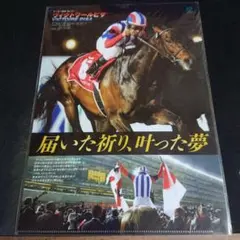 2026年最新】〈非売品〉 jraの人気アイテム - メルカリ