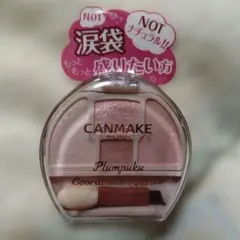 【新品・未開封】キャンメイク＊プランぷくコーデアイズNEO＊NOTナチュラル01
