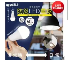 Item thumbnail for item 702de68f-1f73-4576-8061-796ed68813dd