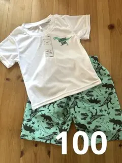 新品未使用　恐竜プリントラッシュ　サーフパンツ　キッズ　水着　100