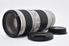 2026年最新】rf70-200mm f4 l is usmの人気アイテム - メルカリ