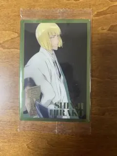 BLEACH ブリーチ　ウエハース　平子真子