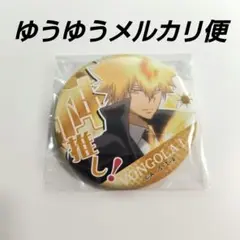 家庭教師ヒットマンREBORN! 激推し缶バッジ2 プリーモ①