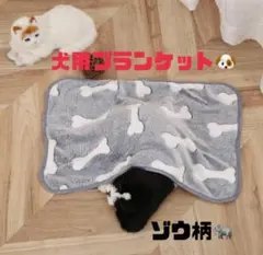 개와 고양이 담요