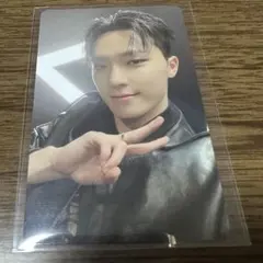 ディノ　トレカ