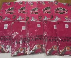 赤目様専用【新品】秋田ノーザンハピネッツ＆銀牙 コラボ レアグッズ