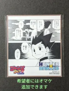 ⭐HUNTER × HUNTER ジャンプフェア アニメイト 色紙 ⭐