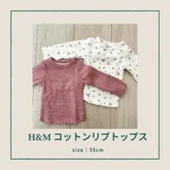 Item thumbnail for item 8eb1144c-15ac-4862-a318-81b805334e02